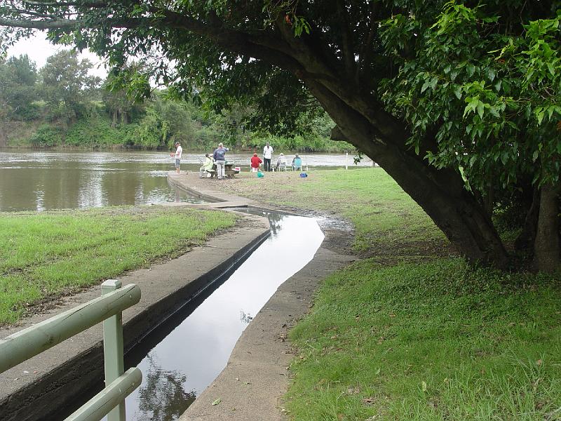 wingham-brush 020.jpg
